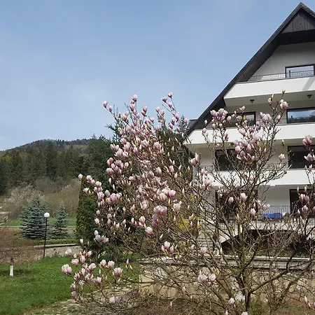 Vendégház Pensiunea 4*